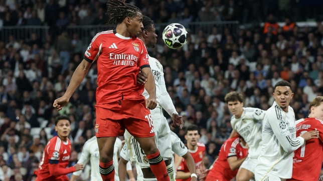 belgaimage-165202462_copy