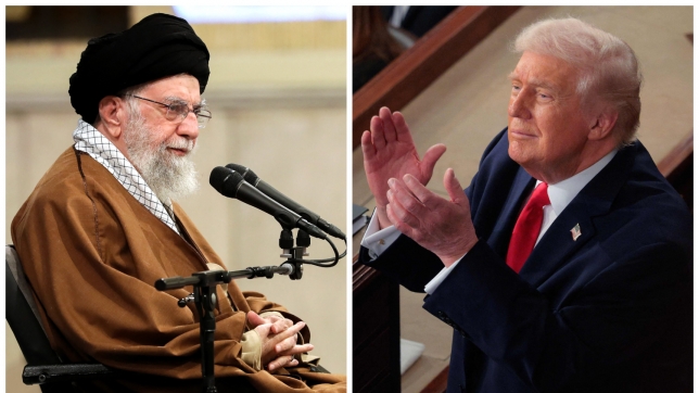 ipiccy_image (7) (1).jpg