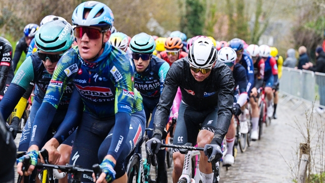 belgaimage-165915192_copy