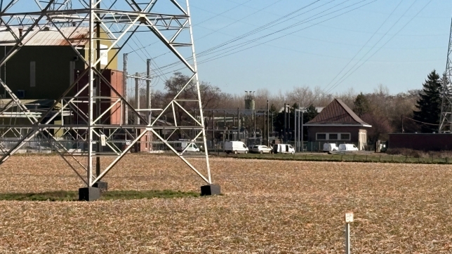 c623e4d9-3970-4c6c-827f-d92bb660c25a.jfif