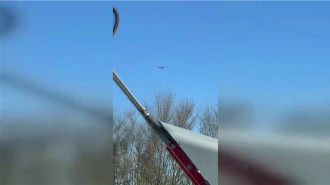 Vidéo envoyée via le bouton orange Alertez-nous.