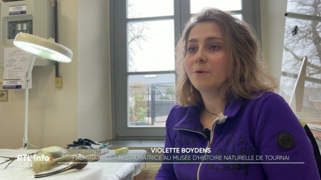 La mouscronnoise Violette Boydens est chargée d'entretenir les animaux naturalisés exposés dans le musée et de leur redonner leur éclat. Aucun détail n'échappe à Violette, mêmes les squelettes sont nettoyés au pinceau. Rencontre avec une jeune femme passionnée, diplômée de la Cambre.