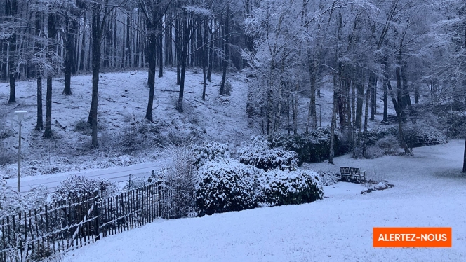 Edition numérique des abonnés