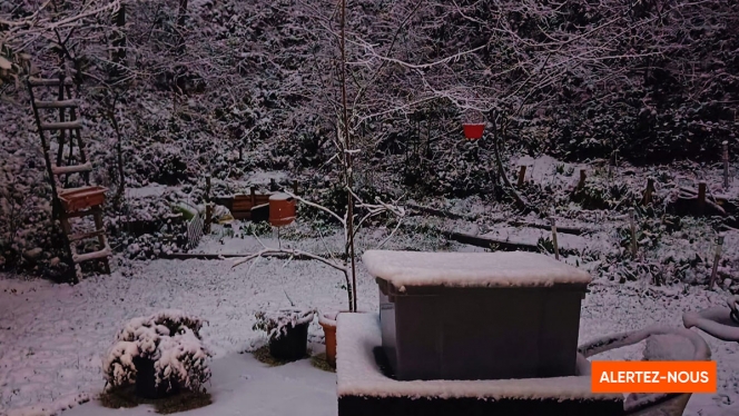 Edition numérique des abonnés