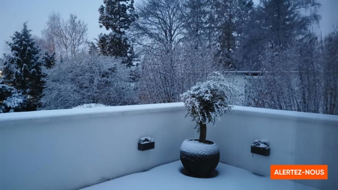 Edition numérique des abonnés