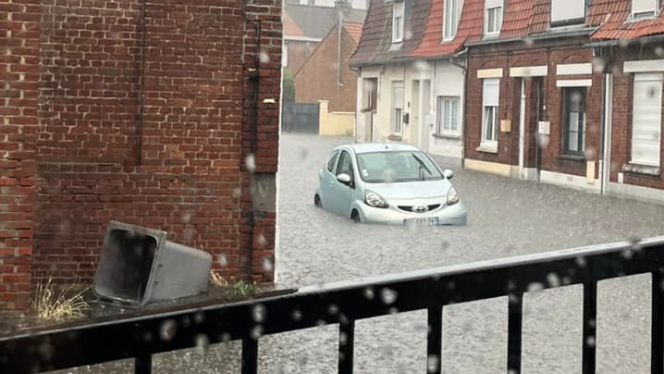 Edition numérique des abonnés