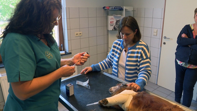 Edition numérique des abonnés