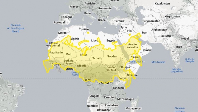 Edition numérique des abonnés