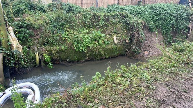 Edition numérique des abonnés