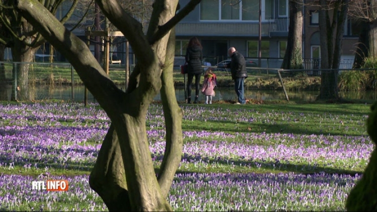 Météo: après les tempêtes, voici quelques images printanières à Liège