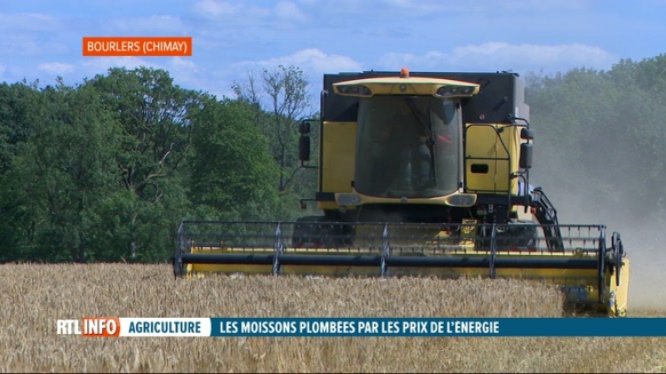 Les agriculteurs ne profitent pas vraiment du prix élevé des céréales