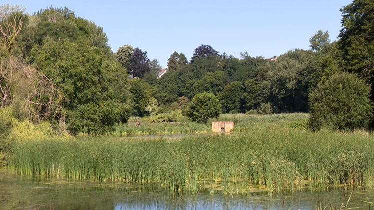 Grab_20220803_142106_989