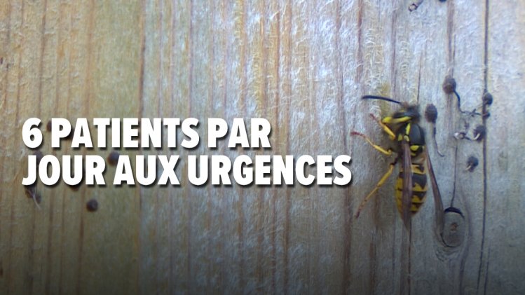 Grab_20220819_134723_989