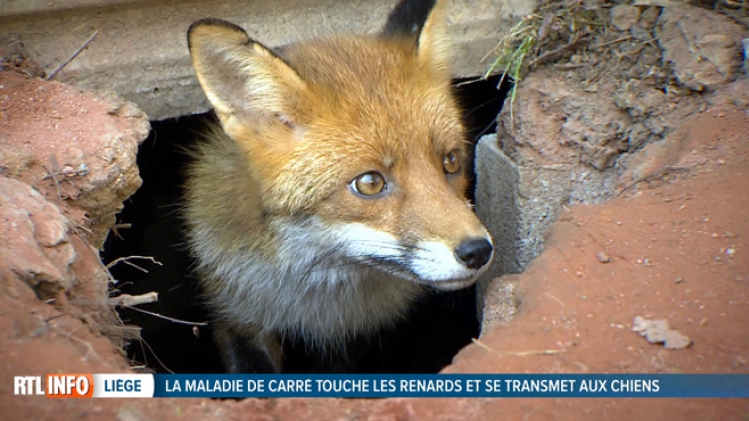 Grab_20180415_133227_808