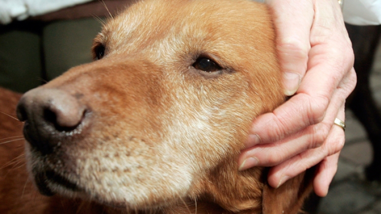 belgaimage-6244456-full