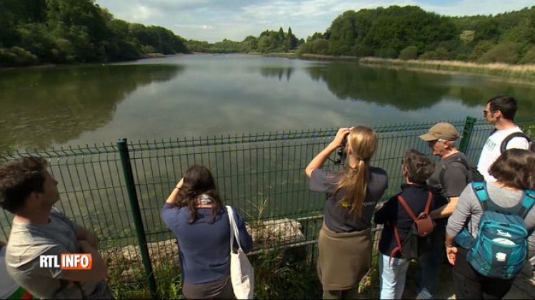 Grab_20180521_140921_623