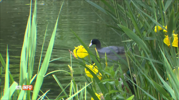 Grab_20180521_140251_623