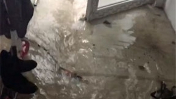 0orage-intemperie-vilvoorde