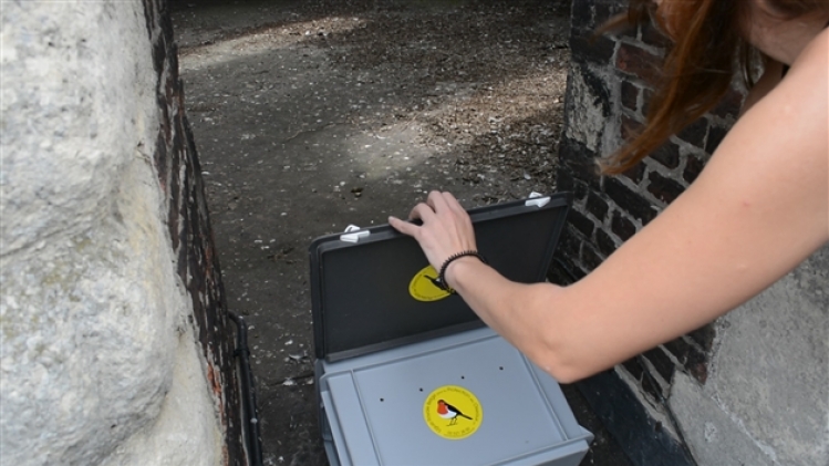 dsc_0227.mov.image fixe001