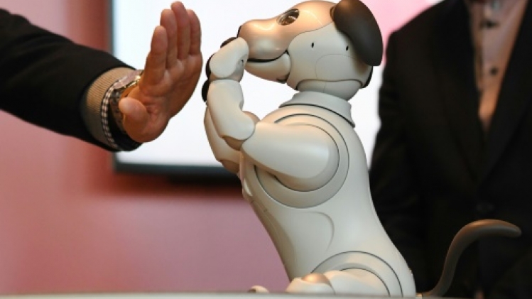Japon: le nouveau chien robot Aibo adopté par ses maîtres