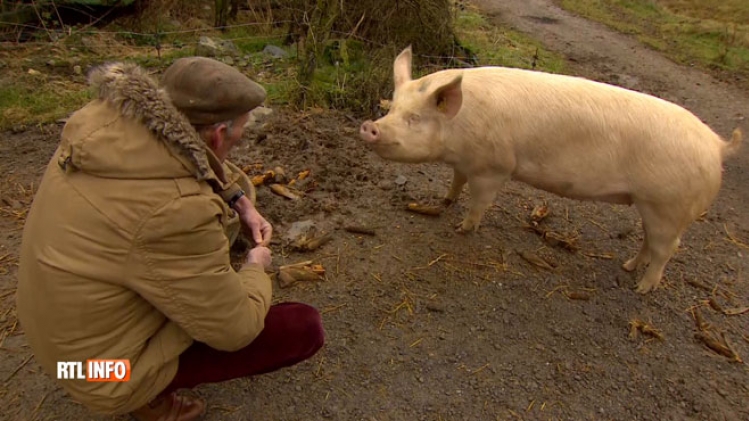 Grab_20180117_151145_775