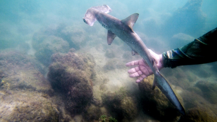 BELGAIMAGE-132165494