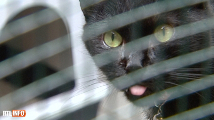 Grab_20180212_200528_808