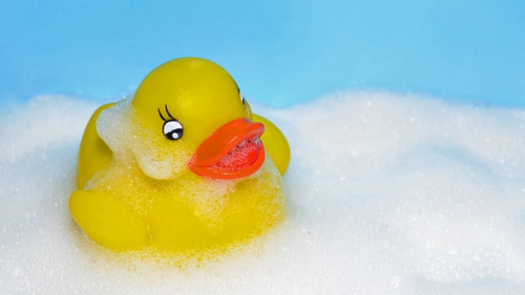 Le canard en plastique qui flotte dans votre bain est une bombe à bactéries  et à champignons