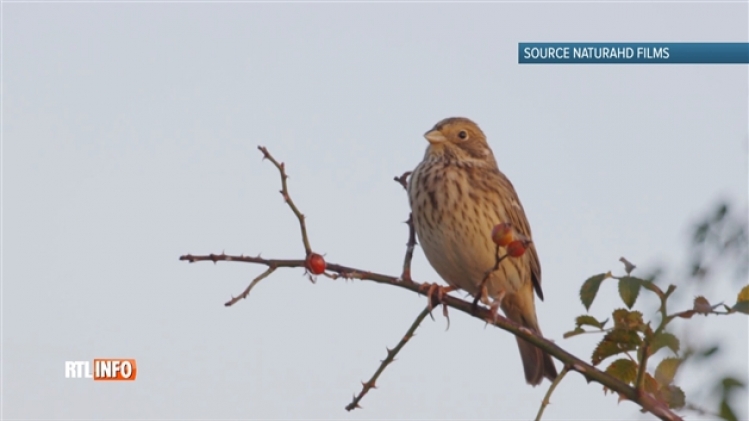 grab_20180404_134509_531