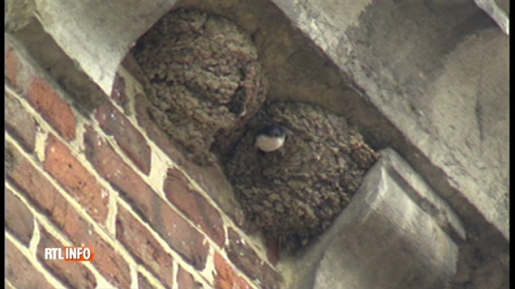 grab_20180404_135455_531