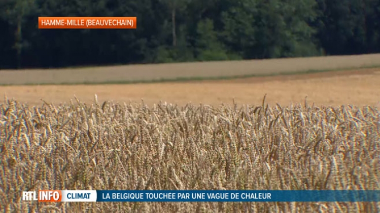 Grab_20180708_133634_356