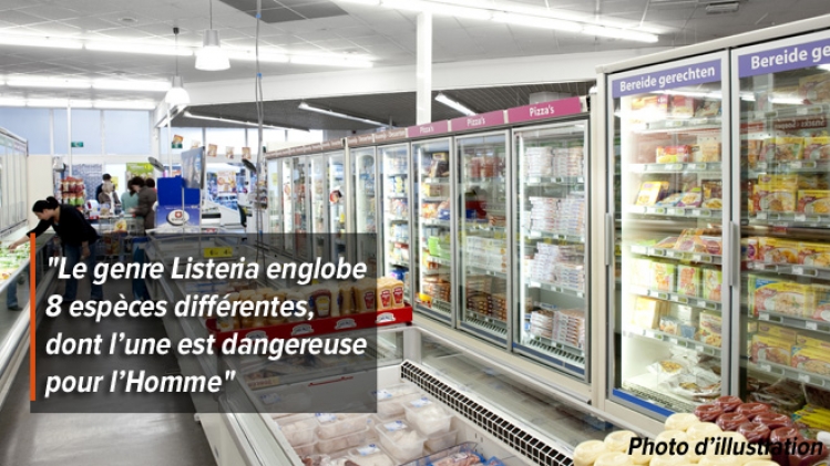 listeria