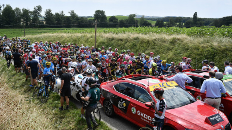 BELGAIMAGE-138258437