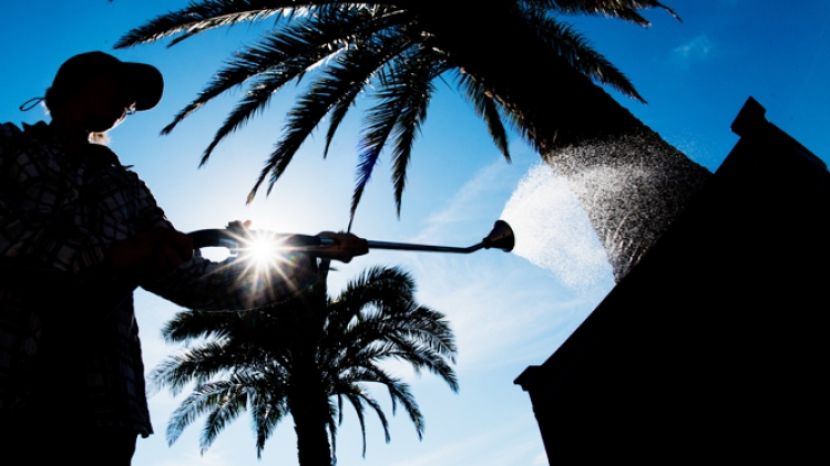 BELGAIMAGE-137613048