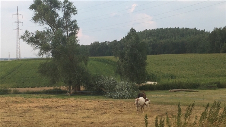 0meteo-maurage-tornade-degats
