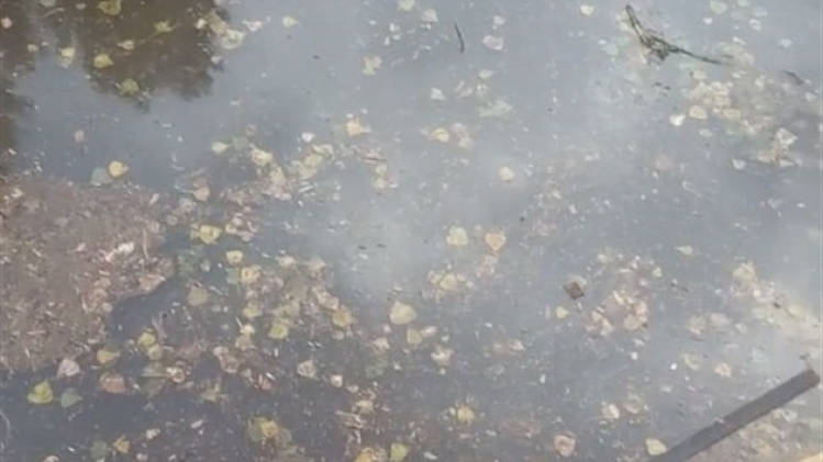 0inondation-juprelle