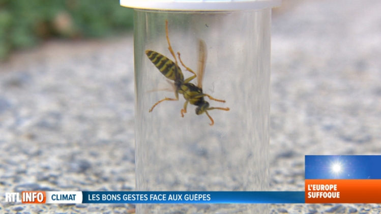 Grab_20180806_194655_808