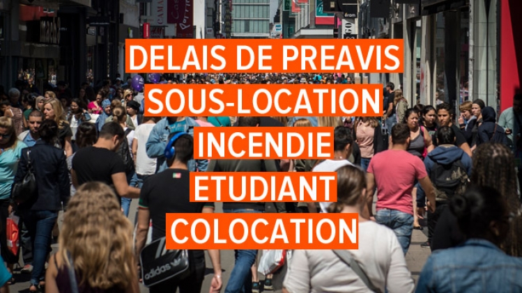 wallonie-reforme-bail-locatifl