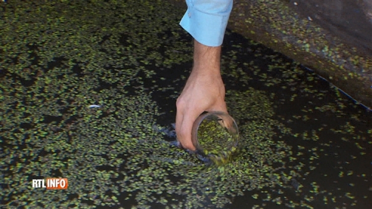 grab_20180918_141215_531