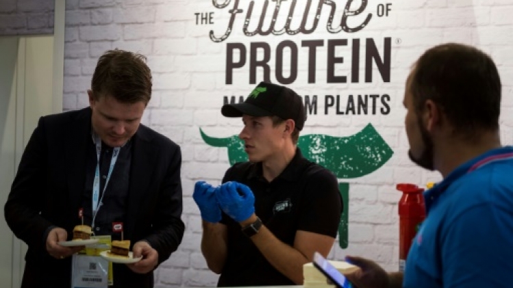 Les légumineuses, sources de protéines, désormais bien ancrées dans le paysage culinaire