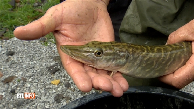 grab_20181028_133849_772