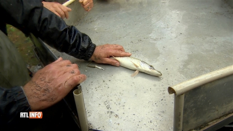 grab_20181028_133956_772