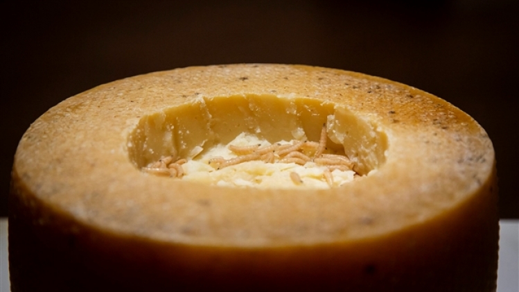 isopix_24348873-003 (1)