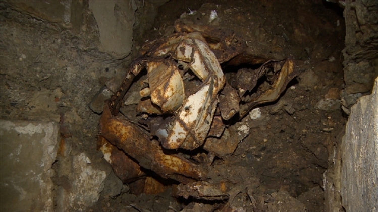 grab_20181111_194643_772