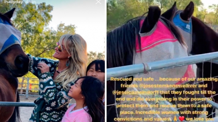 hallyday-chevaux-(dans-larticle)