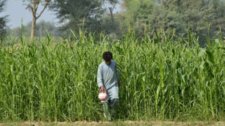 Des toilettes en milieu rural, combat ultime des femmes au Pakistan