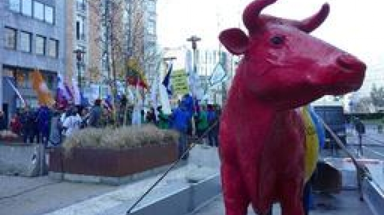 Manifestation des agriculteurs à Bruxelles pour une uniformisation des primes en Europe