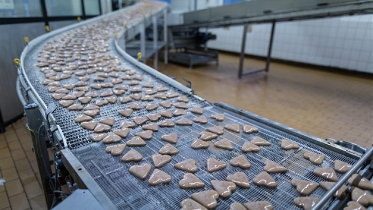 belgaimage-143467219