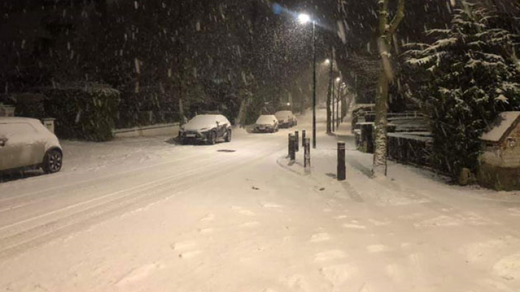 SNOWUCCLE
