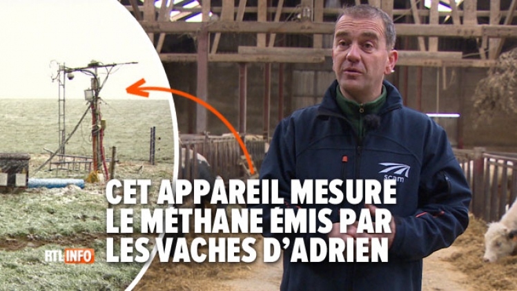climat-viande-consommation-environnement-impact-methane-vache-elevage-wallon-belgique-eleveur-paquet